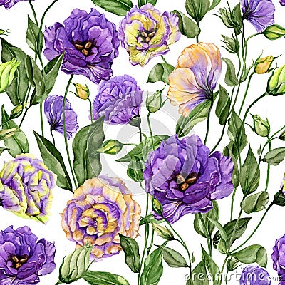 Beautiful eustoma flowers lisianthus with leaves and closed buds on white background. Seamless floral pattern. Cartoon Illustration
