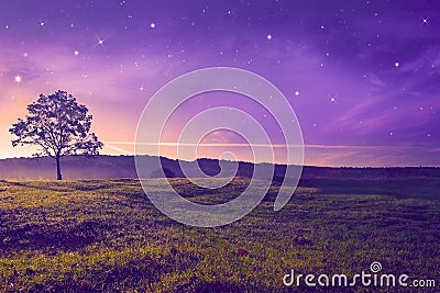 Beautiful evening landscape Stock Photo