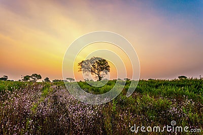 Beautiful evening and sunset photography, country side view of India, Landscape Stock Photo