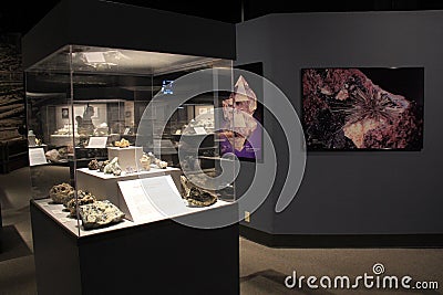 Beautiful exhibit of glass case holding gems and minerals from Albany, State Museum, New York, 2016 Editorial Stock Photo