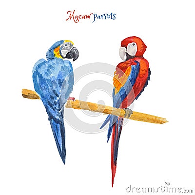 Beautiful exotic bird - macaw parrot. Watercolor sketch isolated on white background Cartoon Illustration