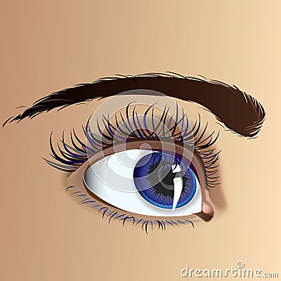 Beautiful eye Vector Illustration