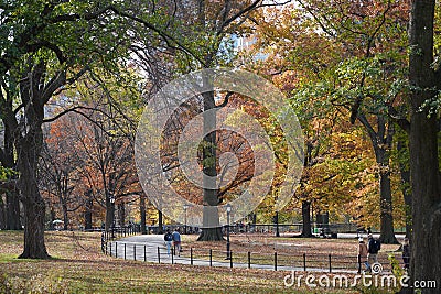 Beautiful fall afternoon in the park during a walk Editorial Stock Photo