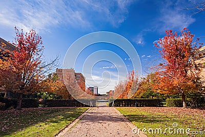 Beautiful fall color of the health sciences campus, University of Oklahoma Editorial Stock Photo
