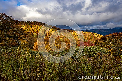 Beautiful fall colors abound on the Blue Ridge Parkway in October Stock Photo