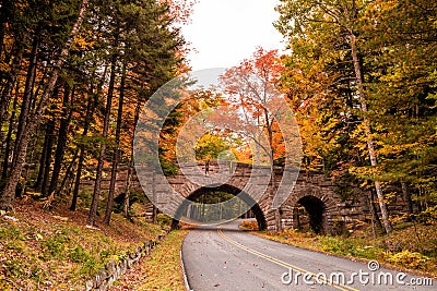 Beautiful fall colors of Acadia National Park in Maine Stock Photo