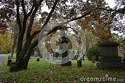 Beautiful Fall Tree, Sleepy Hollow Cemetery, Historic New York Editorial Stock Photo