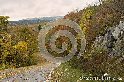 Beautiful Fall Virginia Road Stock Photo