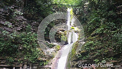 Beautiful Falls in Xilitla Stock Photo