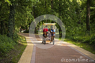 Beautiful Family Surrey Bike Ride in Green Park During Sunset Stock Photo