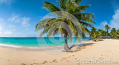 beautiful fantastic beach on a sunny summer day surrounded by beautiful palm trees and trees Stock Photo