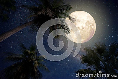 Beautiful fantasy of palm tree at tropical beach and full moon with milky way star in night skies background Stock Photo