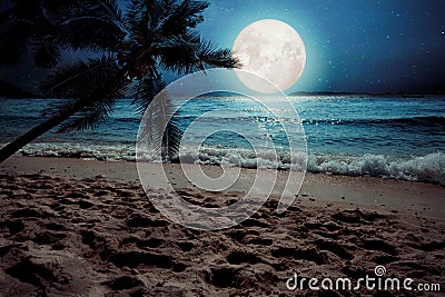 Beautiful fantasy tropical beach with star and full moon in night skies Stock Photo