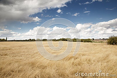 Beautiful farmland in essex england Stock Photo