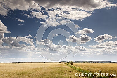 Beautiful farmland in essex england Stock Photo