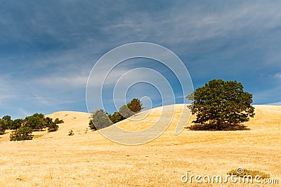 beautiful farmland in Glide Stock Photo