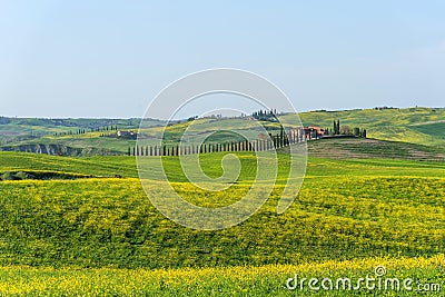 Beautiful farmland rural landscape, cypress trees and colorful spring flowers in Tuscany, Italy. Typical rural house Stock Photo