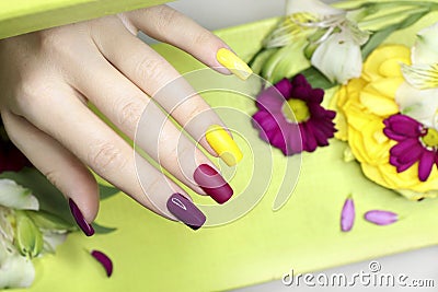 Beautiful fashionable multi-colored manicure with matte and glossy nail Polish colors with decorative small flowers Stock Photo