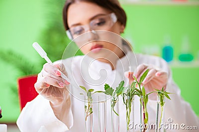 The beautiful female biotechnology scientist chemist working in lab Stock Photo