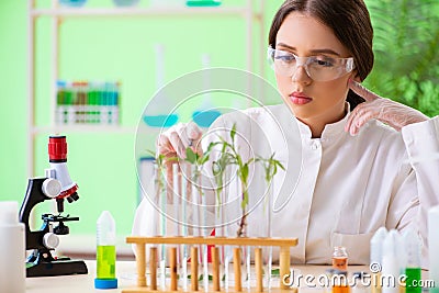 The beautiful female biotechnology scientist chemist working in lab Stock Photo