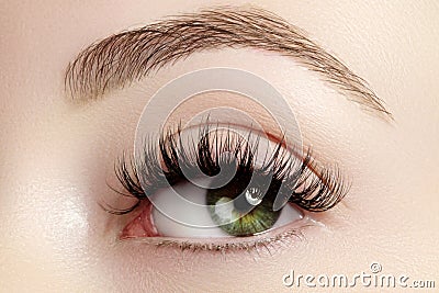 Beautiful female eye with extreme long eyelashes, black liner makeup. Perfect make-up, long lashes. Closeup fashion eyes Stock Photo