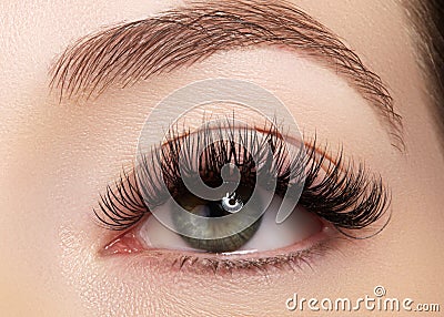 Beautiful female eye with extreme long eyelashes, black liner makeup. Perfect make-up, long lashes. Closeup fashion eyes Stock Photo