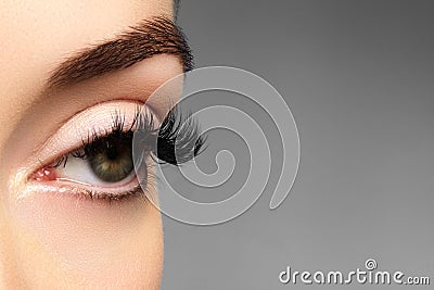 Beautiful female eye with extreme long eyelashes, black liner makeup. Perfect make-up, long lashes. Closeup fashion eyes Stock Photo