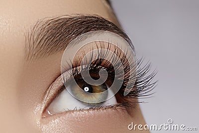Beautiful female eye with extreme long eyelashes, black liner makeup. Perfect make-up, long lashes. Closeup fashion eyes Stock Photo