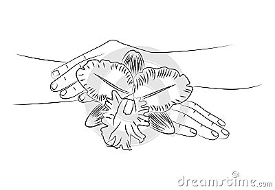 Beautiful female hands with orchid flower close-up. Care for hands and nails, spa treatments. Time for relaxing hand baths Vector Illustration