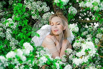 Beautiful feminime woman with white wings with white spring flowers. Stock Photo