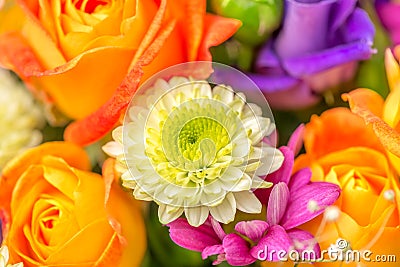 Festive flowers bouquet with chrysanthemum and orange Stock Photo