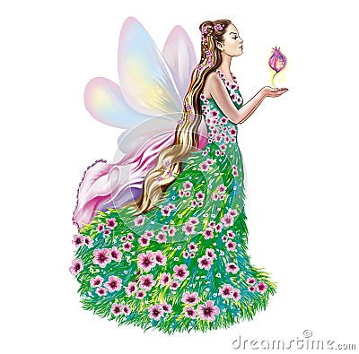 Beautiful Field fairy Stock Photo