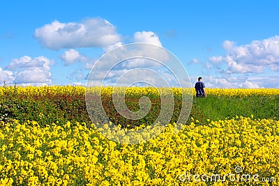 Beautiful fields of in Springtime Stock Photo