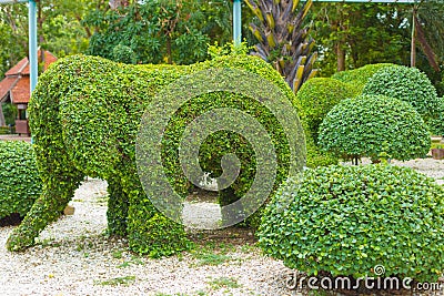 The beautiful figures of animals executed from the growing plants on lawns of city streets Stock Photo