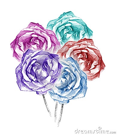 Beautiful five colorful roses bouquet charcoal artistic drawing Stock Photo