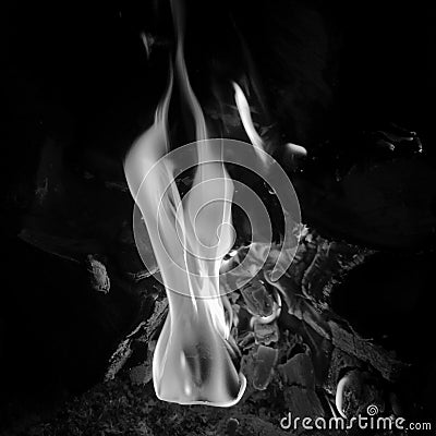 Beautiful flame brown wood dark black coal Stock Photo