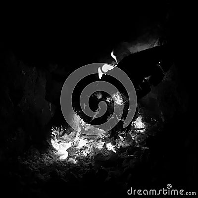 Beautiful flame brown wood dark black coal on bright yellow fire inside metal brazier Stock Photo