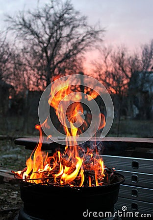 Beautiful flame, tongues of fire, bonfire and ash Stock Photo