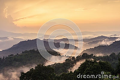 Beautiful floating fog landscape. Stock Photo