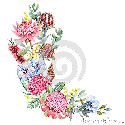 Beautiful floral composition with hand drawn watercolor protea banksia and other australian flowers. Stock illustration. Cartoon Illustration