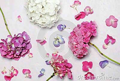 Beautiful floral composition Stock Photo