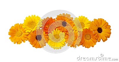 Beautiful Floral decorative element for design Stock Photo