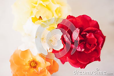The flowers of love Stock Photo