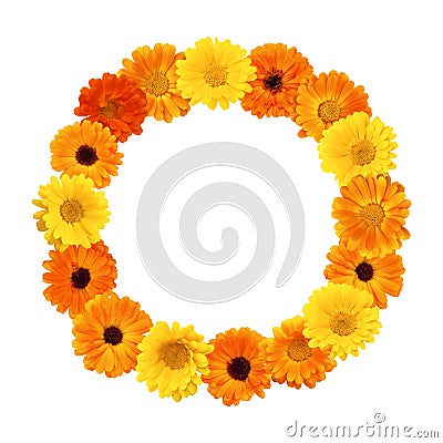 Beautiful Floral round frame Stock Photo