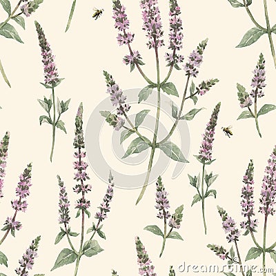 Beautiful floral seamless pattern with hand drawn watercolor spearmint flowers. Stock illustration. Cartoon Illustration