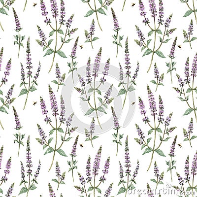 Beautiful floral seamless pattern with hand drawn watercolor spearmint flowers. Stock illustration. Cartoon Illustration