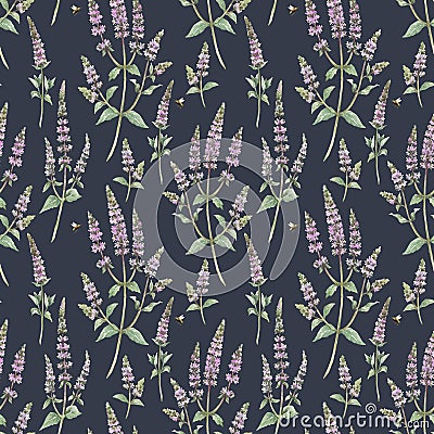 Beautiful floral seamless pattern with hand drawn watercolor spearmint flowers. Stock illustration. Cartoon Illustration