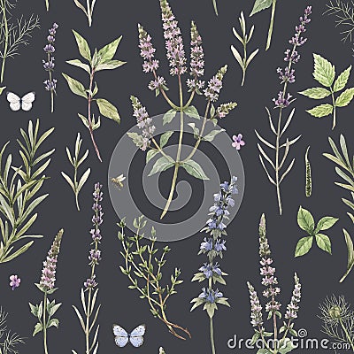 Beautiful floral seamless pattern with hand drawn watercolor spearmint flowers. Stock illustration. Cartoon Illustration