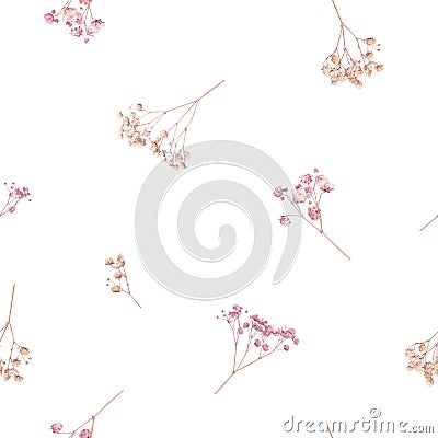 Beautiful floral seamless pattern with wild dried gypsophila flowers. Stock herbarium illustration. Cartoon Illustration