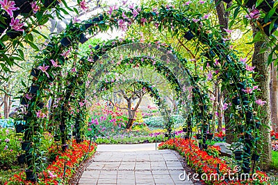 Beautiful flower arches with walkway in ornamental plants garden Stock Photo